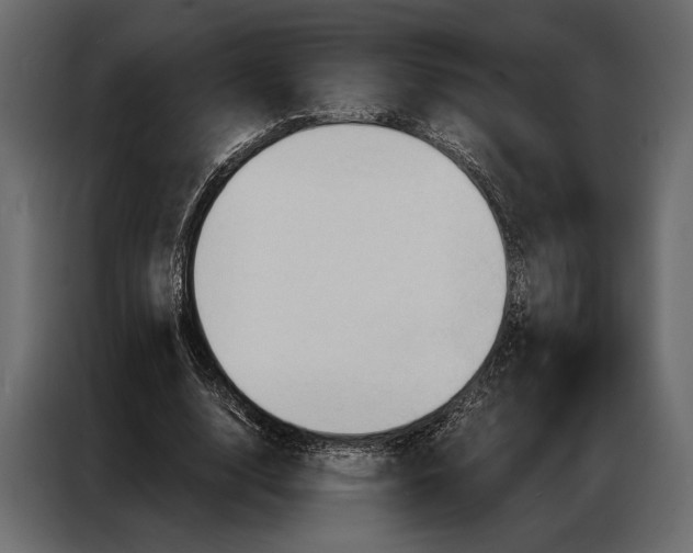 X0000086880632200705071202