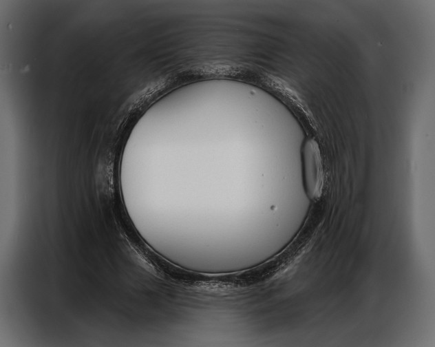 X0000086880633200705071202