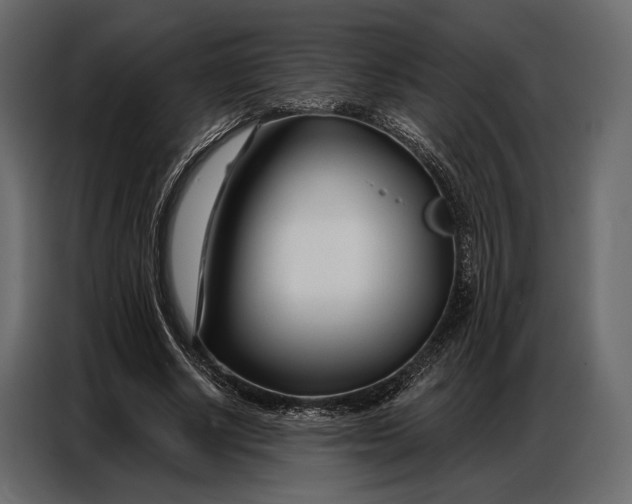 X0000086880634200705071202