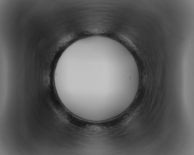 X0000086880635200705071202