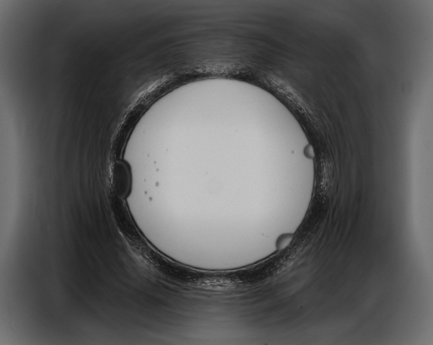 X0000086880636200705071202