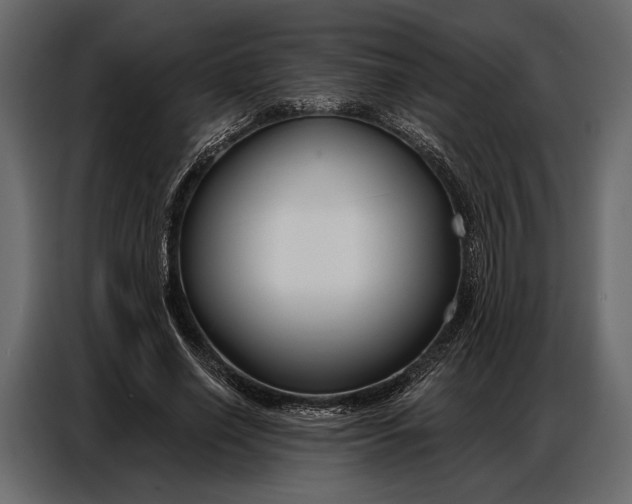 X0000086880638200705071202