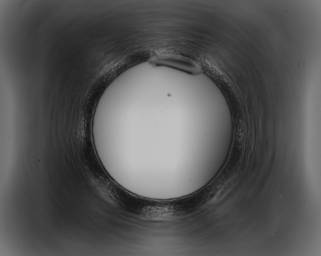 X0000086880639200705071202