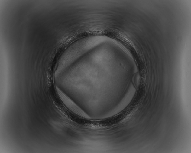 X0000086880641200705071202