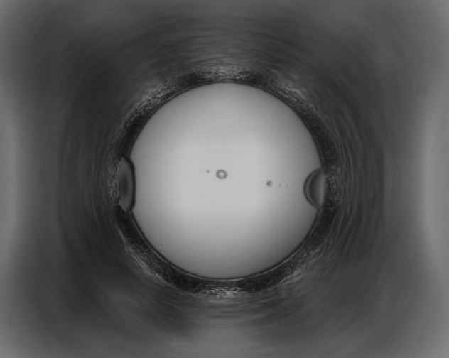 X0000086880642200705071202