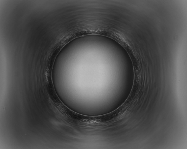 X0000086880643200705071202