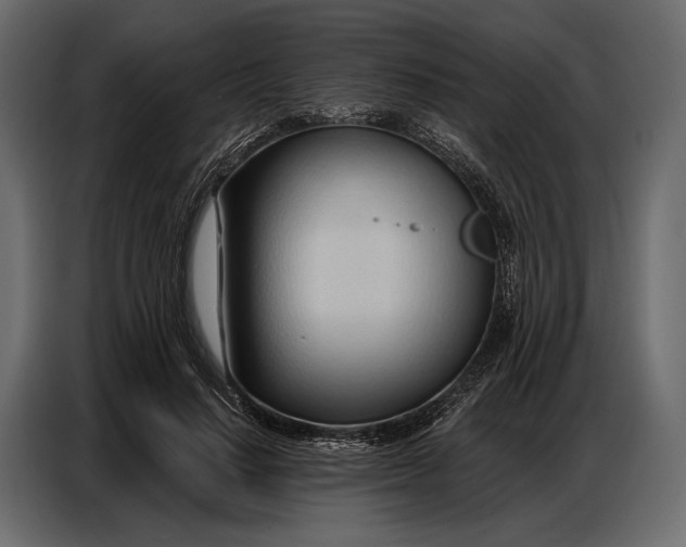 X0000086880644200705071202