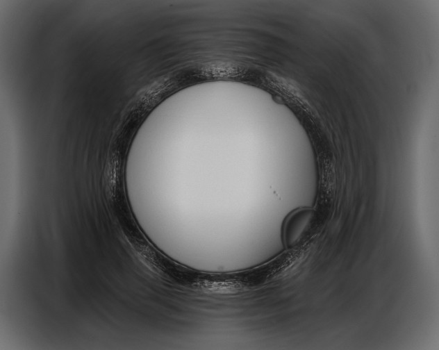 X0000086880645200705071202