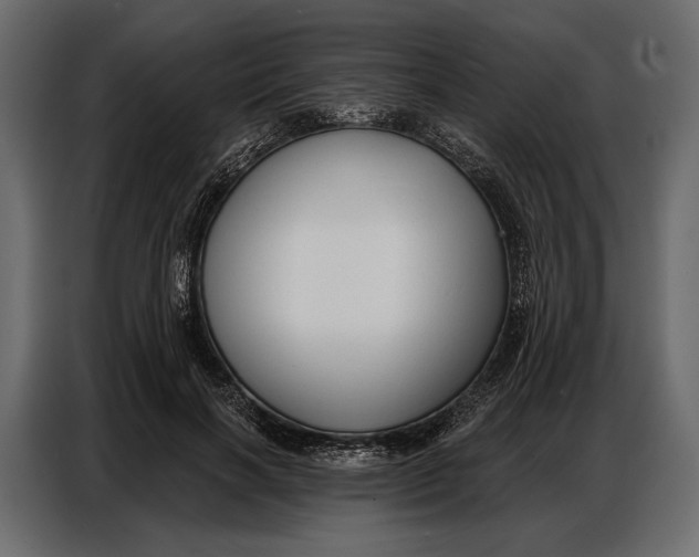 X0000086880646200705071202