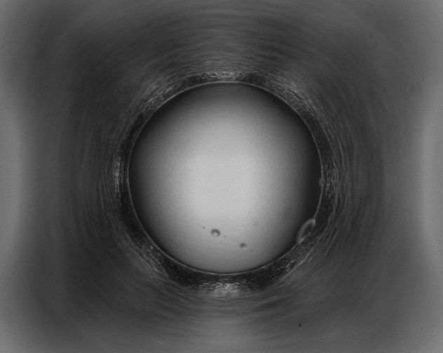 X0000086880647200705071203