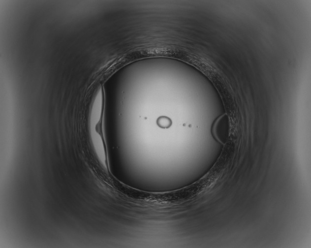 X0000086880648200705071203