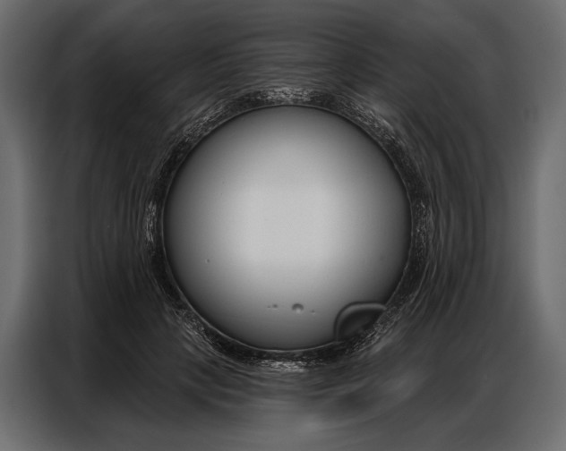 X0000086880649200705071203