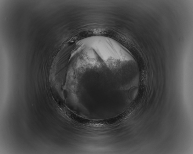 X0000086880650200705071203