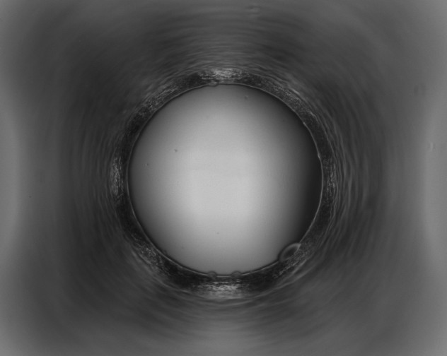 X0000086880651200705071203