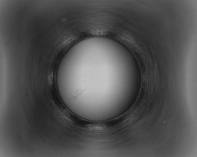 X0000086880652200705071203