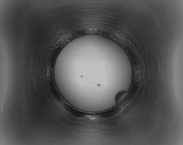 X0000086880654200705071203