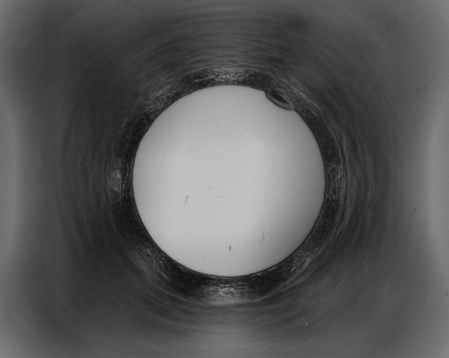 X0000086880655200705071203