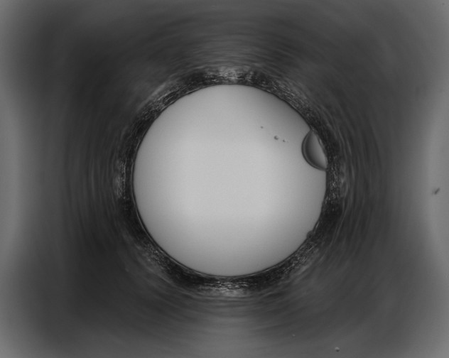 X0000086880656200705071203