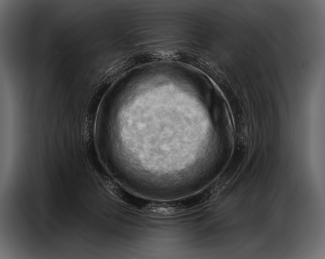 X0000086880658200705071203