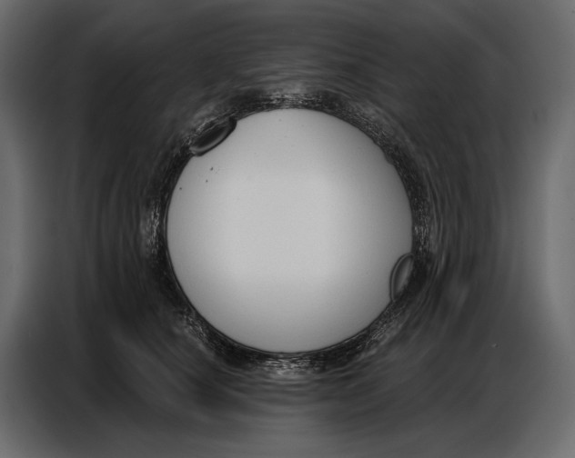 X0000086880660200705071203