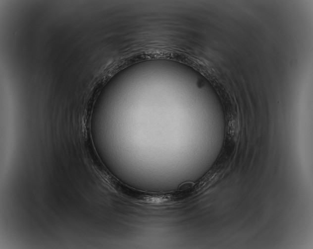 X0000086880662200705071203