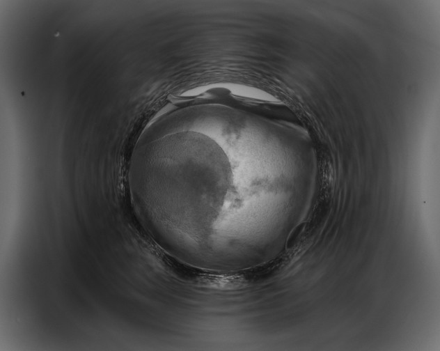 X0000086880663200705071203