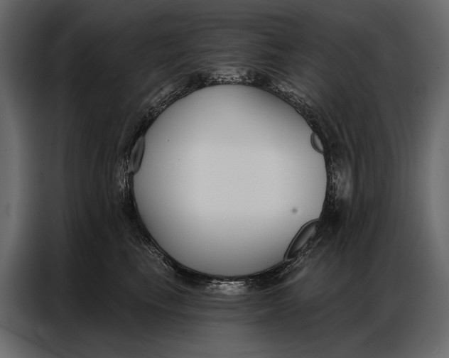 X0000086880665200705071203