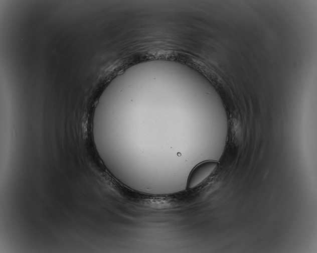 X0000086880668200705071203