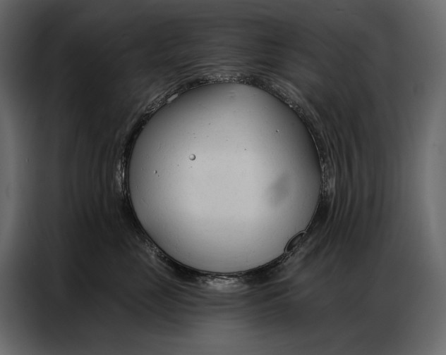 X0000086880669200705071203