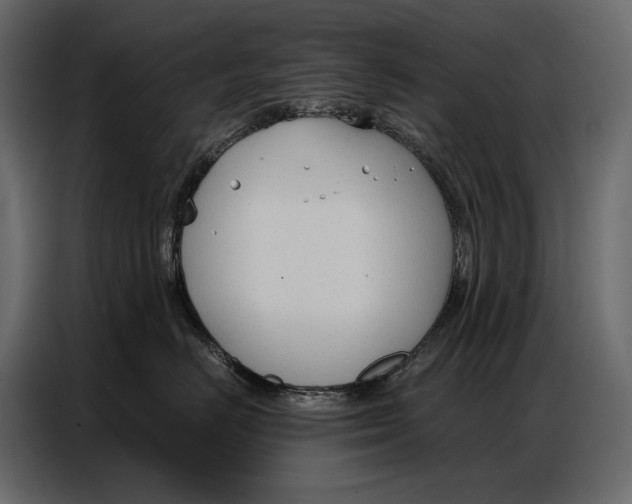 X0000086880670200705071203