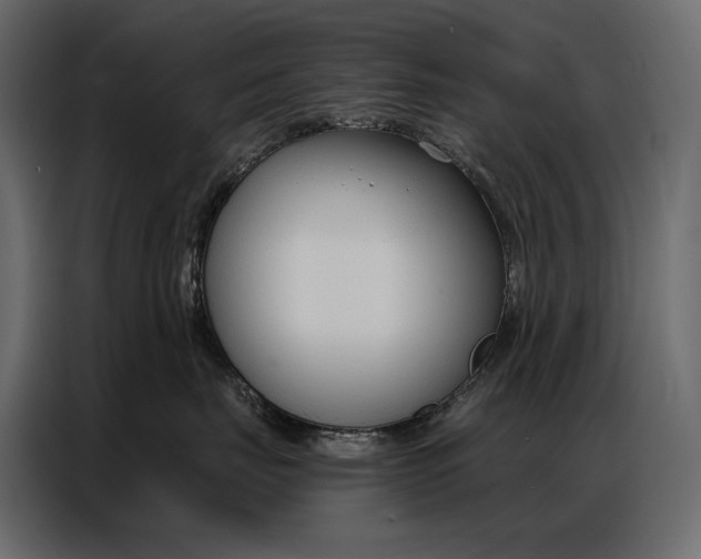 X0000086880671200705071203