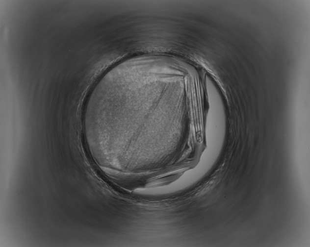 X0000086880673200705071202