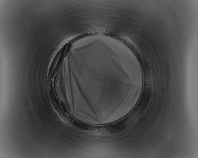 X0000086880674200705071202