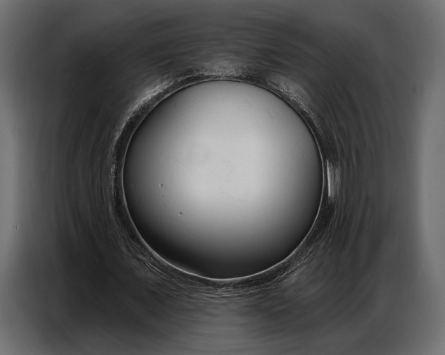 X0000086880675200705071202