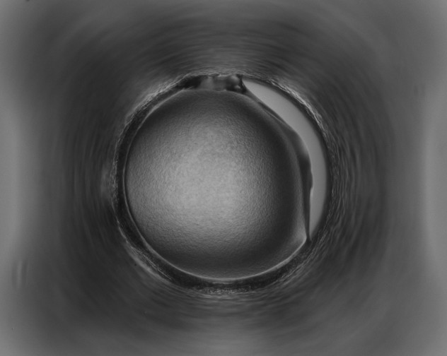 X0000086880677200705071202