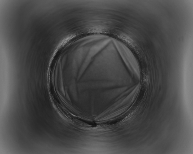 X0000086880678200705071202