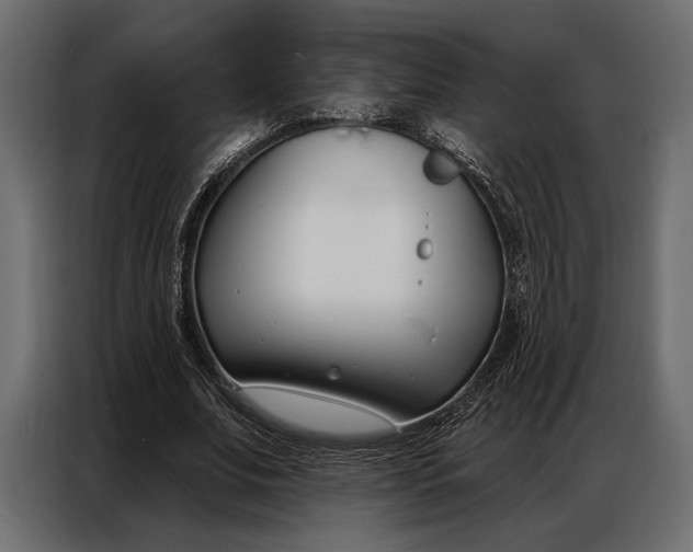 X0000086880679200705071202