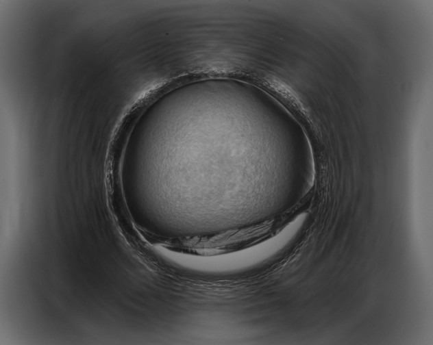 X0000086880680200705071202