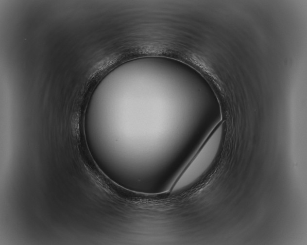 X0000086880681200705071202