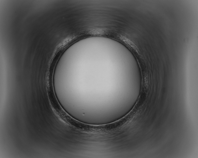 X0000086880682200705071202