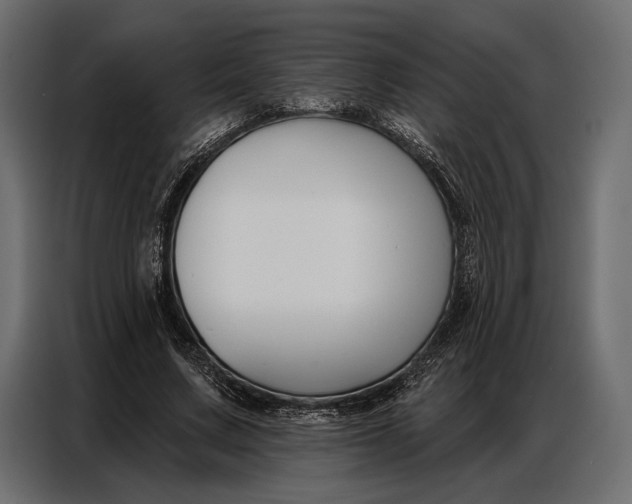 X0000086880683200705071202