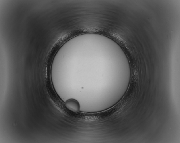 X0000086880686200705071202