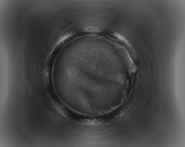 X0000086880688200705071202