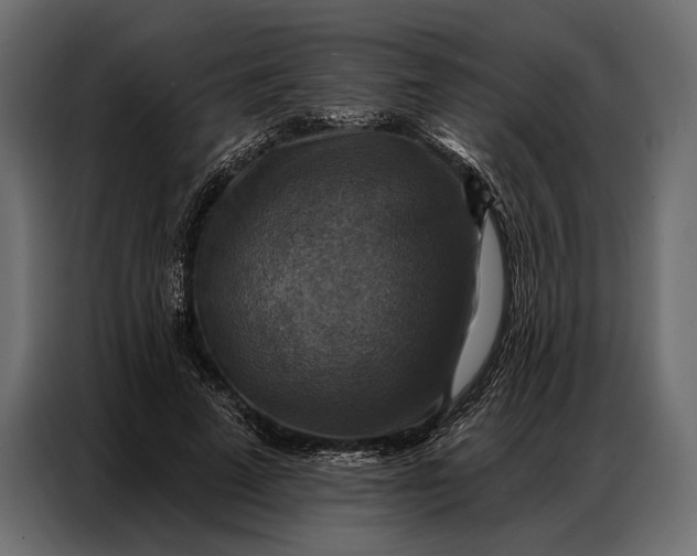 X0000086880689200705071202