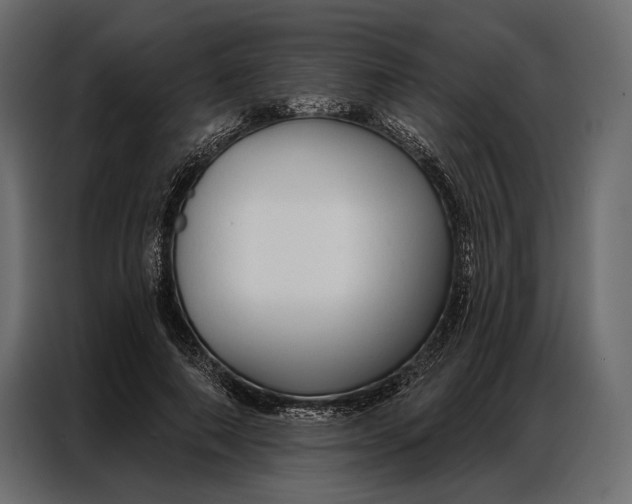 X0000086880690200705071202