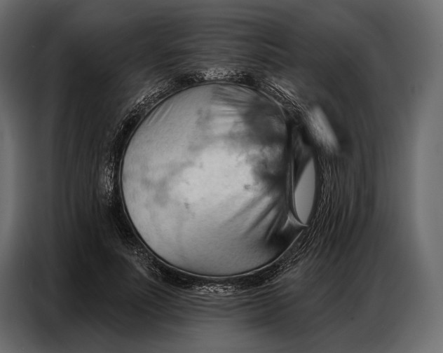 X0000086880691200705071202