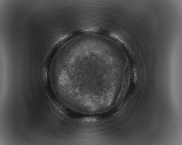 X0000086880692200705071202