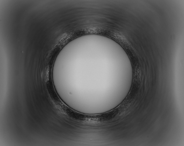 X0000086880694200705071202