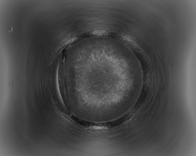 X0000086880696200705071202