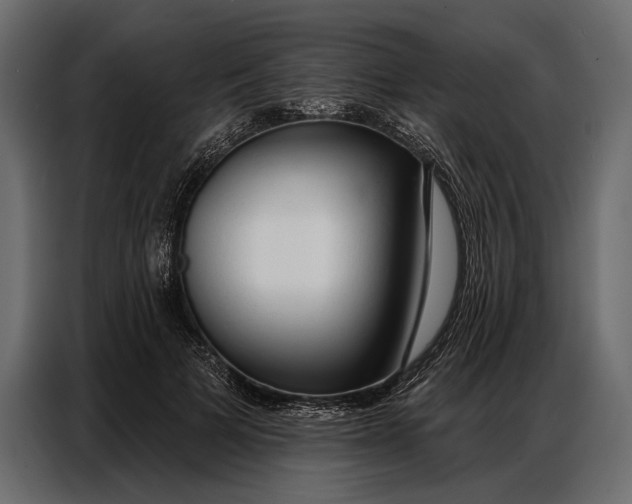 X0000086880697200705071202